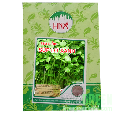 Hạt rau mầm súp lơ xanh - Ảnh 1